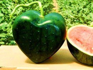 今日吃瓜-13号球