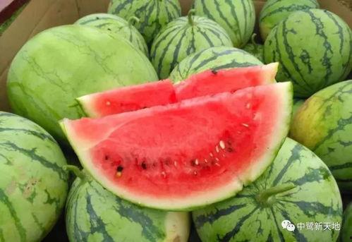 51funcg4今日吃瓜,揭秘娱乐圈最新热点事件